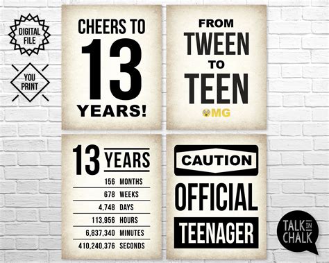 13th birthday signs